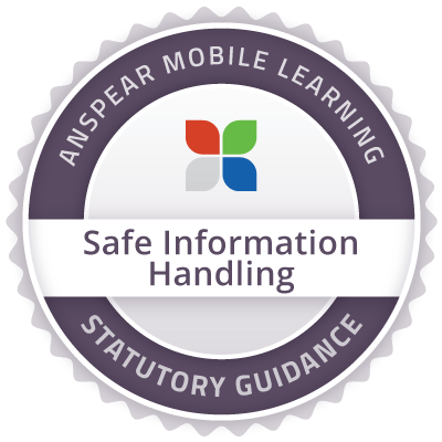 Safe Information Handling