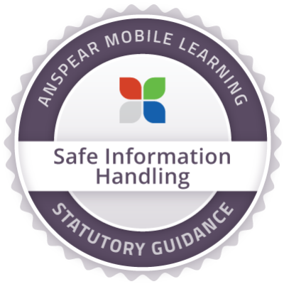 Safe Information Handling