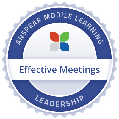 Effective Meetings