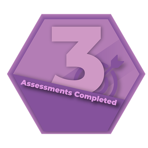 Assessment 3 Completed