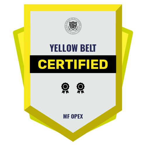 YELLOW BELT CERTIFICATION