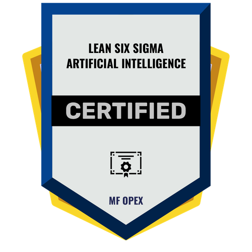 LSS AI BELT CERTIFICATION