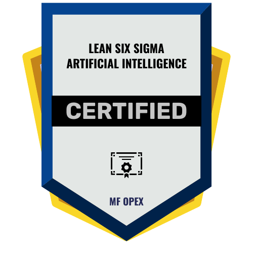LSS AI BELT CERTIFICATION