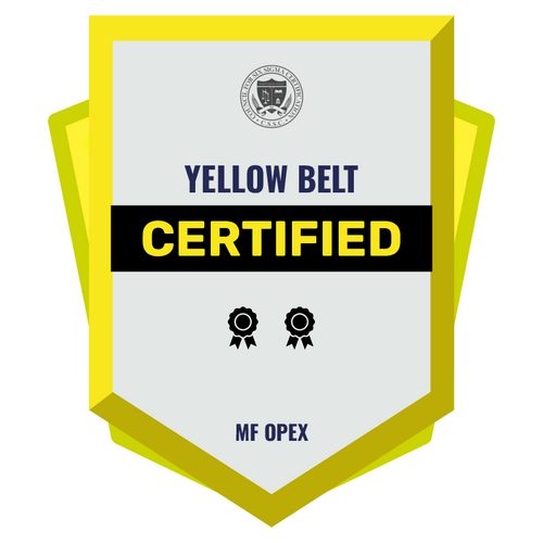YELLOW BELT CERTIFICATION