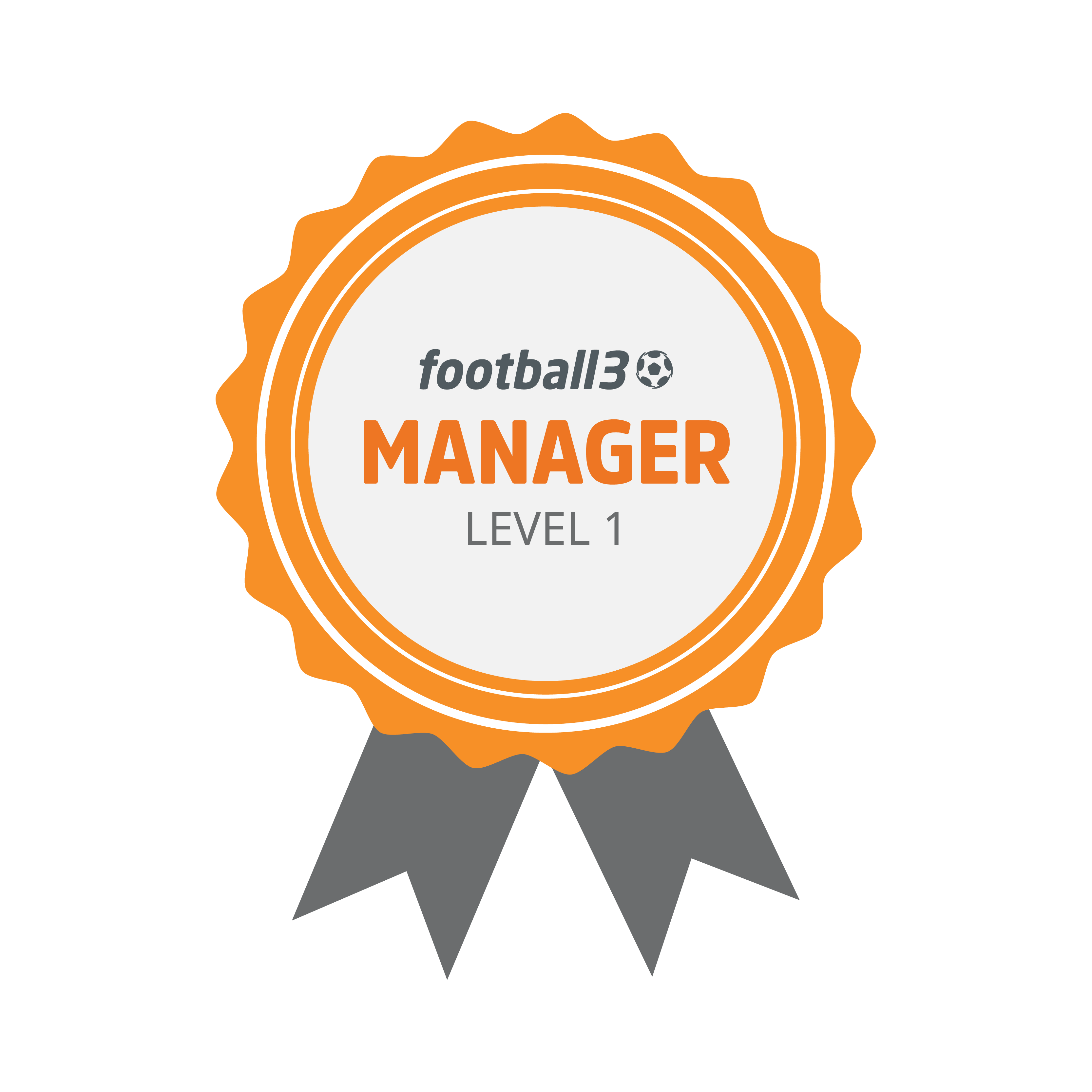 football3 manager - Level 1