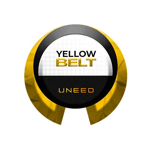 Yellow Belt Lean Six Sigma