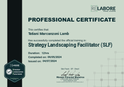 Strategy Landscaping Facilitator (SLF)