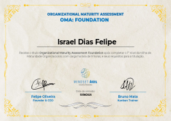 Organizational Maturity Assessment Foundation