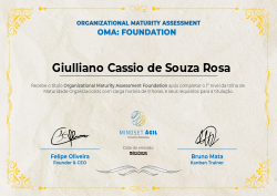 Organizational Maturity Assessment Foundation