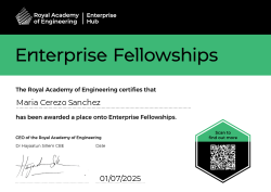 Enterprise Fellowships