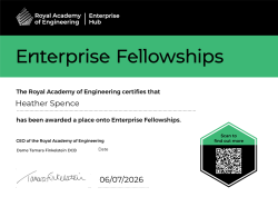 Enterprise Fellowships
