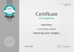 Mentoring career changers
