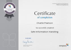 Safe Information Handling