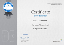 Cognitive Load