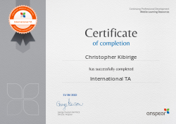 International TA