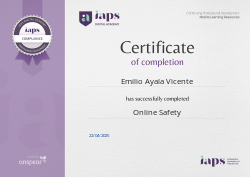 Online Safety