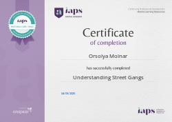 Understanding Street Gangs