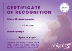 Skydive for Abigail's