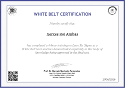 WHITE BELT CERTIFICATION