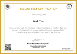 YELLOW BELT CERTIFICATION