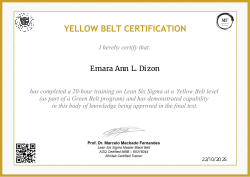 YELLOW BELT CERTIFICATION
