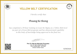 YELLOW BELT CERTIFICATION