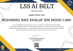 LSS AI BELT CERTIFICATION