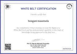 WHITE BELT CERTIFICATION
