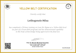 YELLOW BELT CERTIFICATION