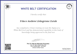 WHITE BELT CERTIFICATION