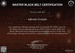 MASTER BLACK BELT CERTIFICATION