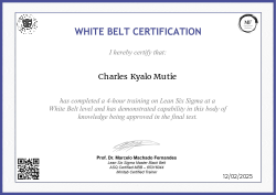 WHITE BELT CERTIFICATION