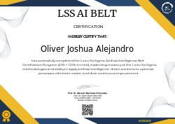 LSS AI BELT CERTIFICATION