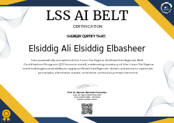 LSS AI BELT CERTIFICATION