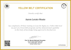 YELLOW BELT CERTIFICATION