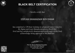BLACK BELT CERTIFICATION