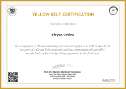 YELLOW BELT CERTIFICATION