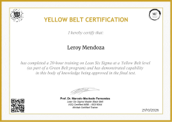 YELLOW BELT CERTIFICATION