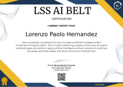 LSS AI BELT CERTIFICATION