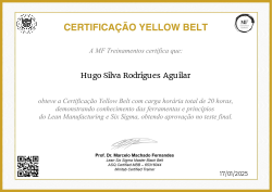 CERTIFICAÇÃO YELLOW BELT