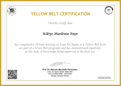 YELLOW BELT CERTIFICATION