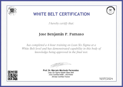 WHITE BELT CERTIFICATION