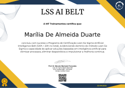 CERTIFICAÇÃO AI BELT