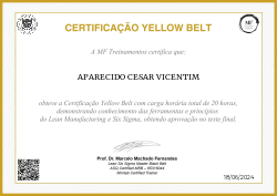 CERTIFICAÇÃO YELLOW BELT