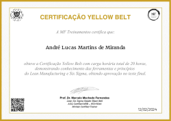 CERTIFICAÇÃO YELLOW BELT