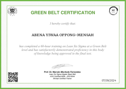 GREEN BELT CERTIFICATION