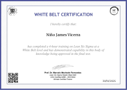WHITE BELT CERTIFICATION