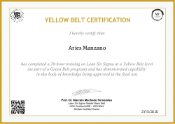 YELLOW BELT CERTIFICATION