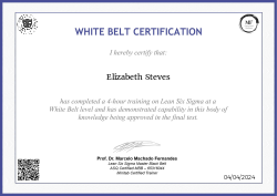 WHITE BELT CERTIFICATION
