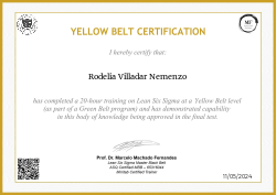 YELLOW BELT CERTIFICATION